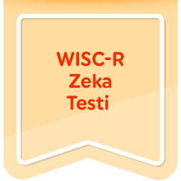 WISC-R Zeka Testi